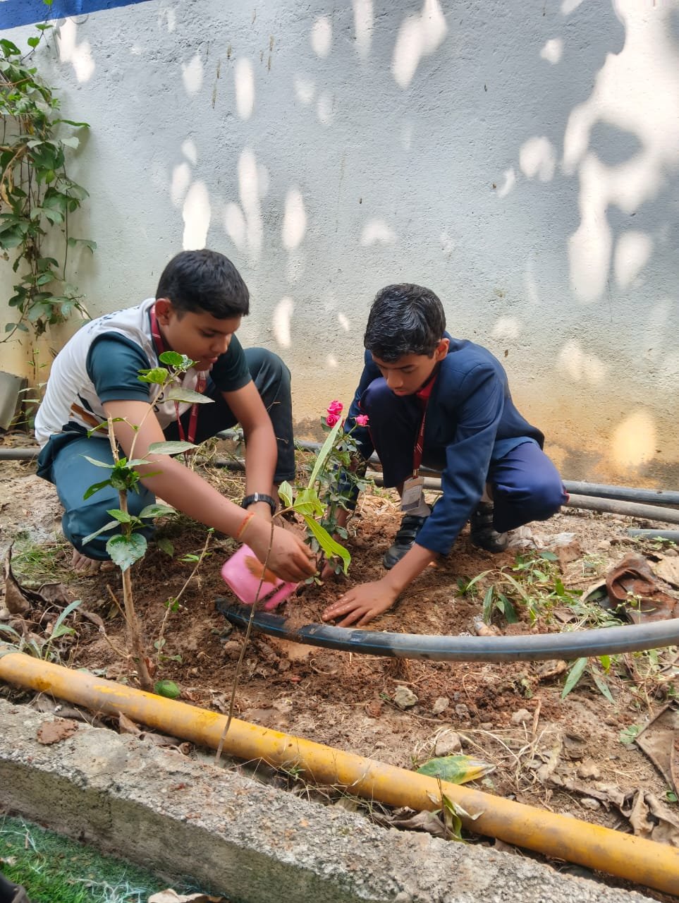 WhatsApp Image 2026-01-22 at 12.45